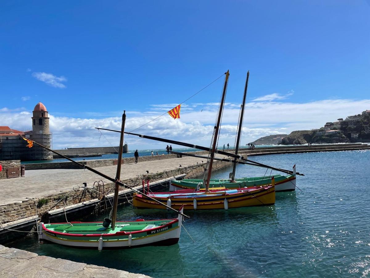 Charmant T2 Duplex Climatise Avec Terrasse, A Deux Pas De La Plage Du Port D'Avall, Collioure - Fr-1-309-233アパートメント エクステリア 写真